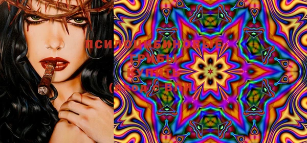 MDMA Premium VHQ Медногорск