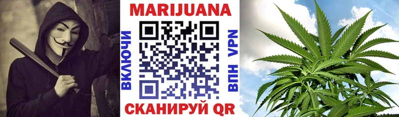 гидра вход  закладка  Трёхгорный  Каннабис сатива 